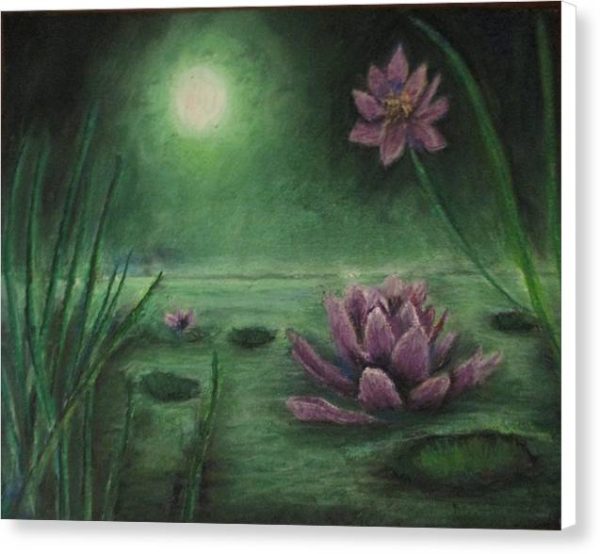 Lily Pond - Canvas Print Online Hot Sale