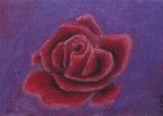 Rosy Rose ~ Puzzle For Discount