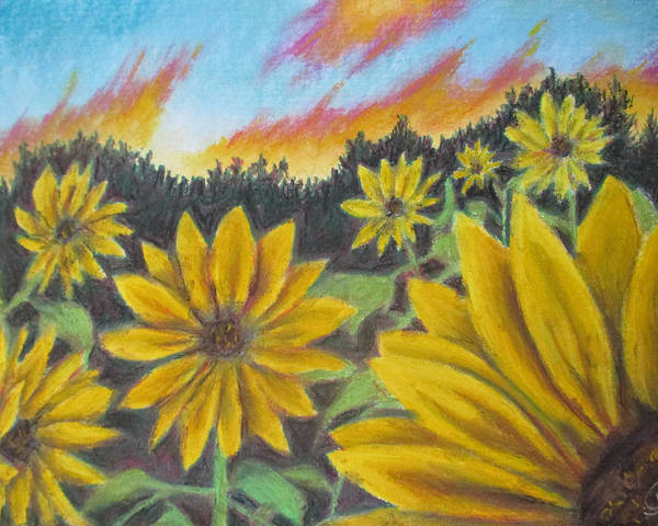 Sunflower Hue - Art Print Discount