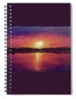 Fruitful Minds - Spiral Notebook Online now