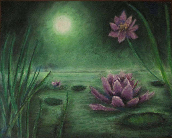 Lily Pond - Art Print Discount