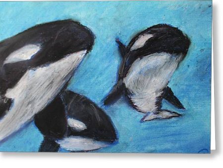 Orca Tides - Greeting Card Cheap