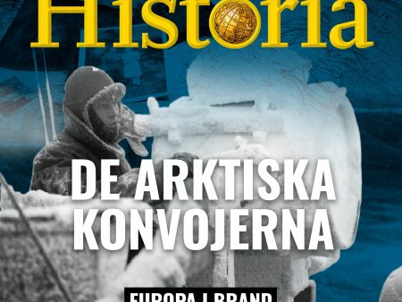 De arktiska konvojerna Online