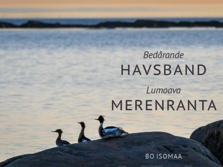 Bedårande Havsband - Lumoava Merenranta Online now