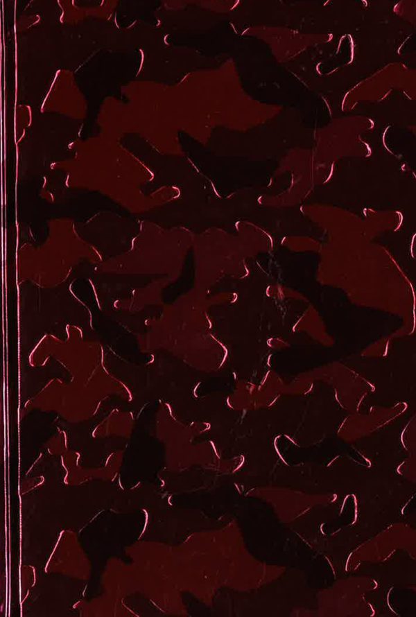 Pink Camouflage (Contemporary Journal) For Sale