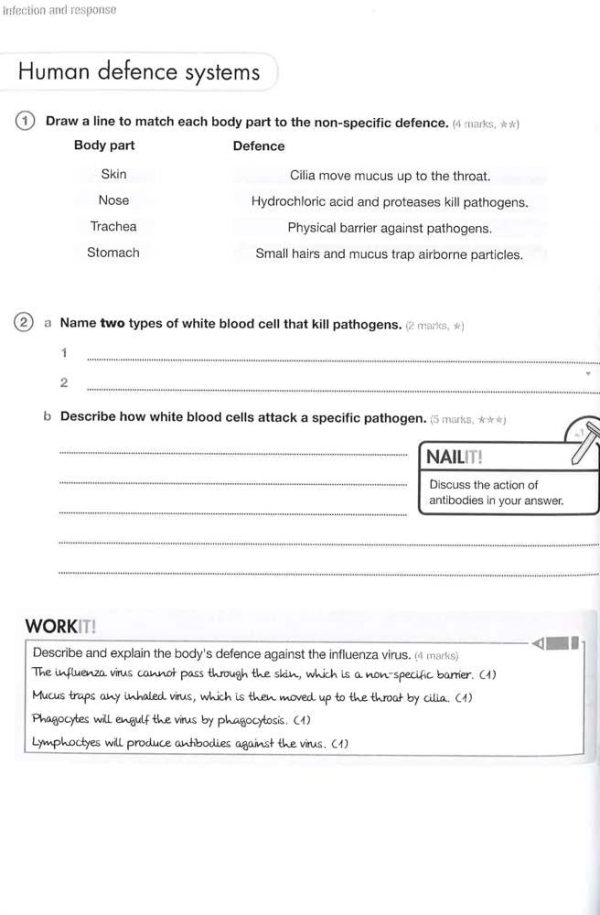 Gcse 9-1 Biology Aqa Exam Practice For Cheap