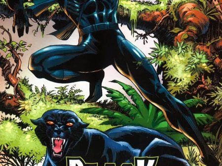 Black Panther: Panther s Quest For Sale