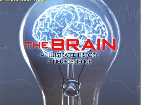 The Brain Hot on Sale